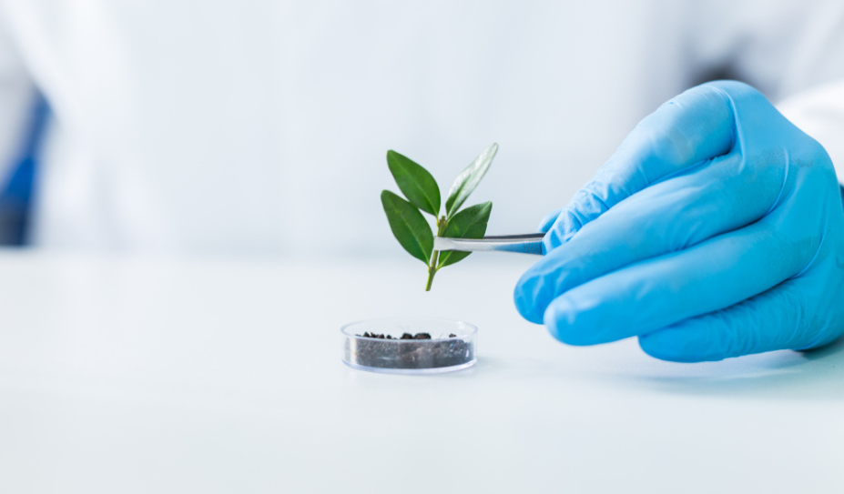 Agrochemical