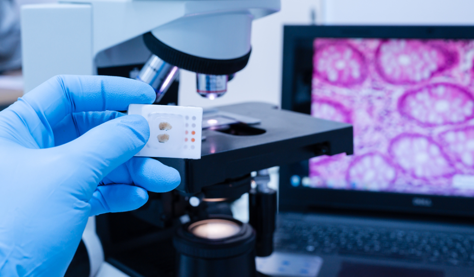 Histopathology & Clinical Pathology