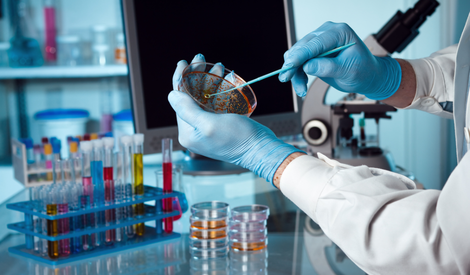 Microbiology Services